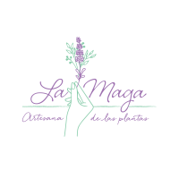 Aula Virtual de La Maga